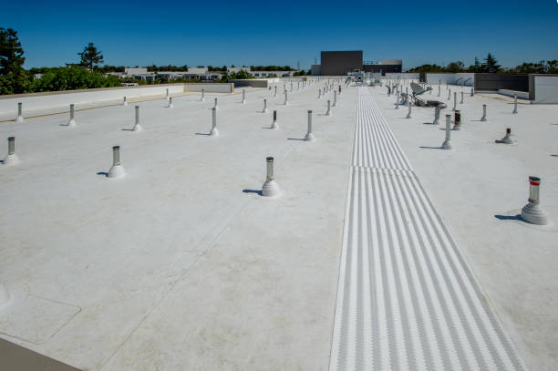 Best Steel Roofing  in Arcanum, OH